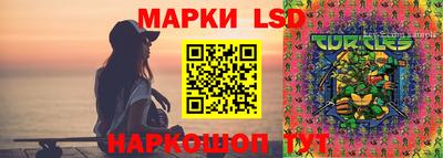 apvp Гагарин