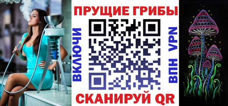 Псилоцибиновые грибы Psilocybine cubensis  Волхов 