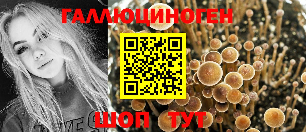 Псилоцибиновые грибы ЛСД Волхов