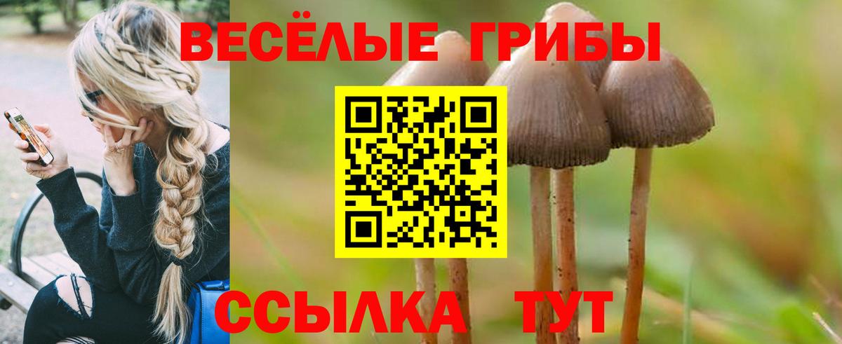 сколько стоит  Галлюциногенные грибы Cubensis  Псилоцибиновые грибы мицелий  Вход с VPN  Волхов 
